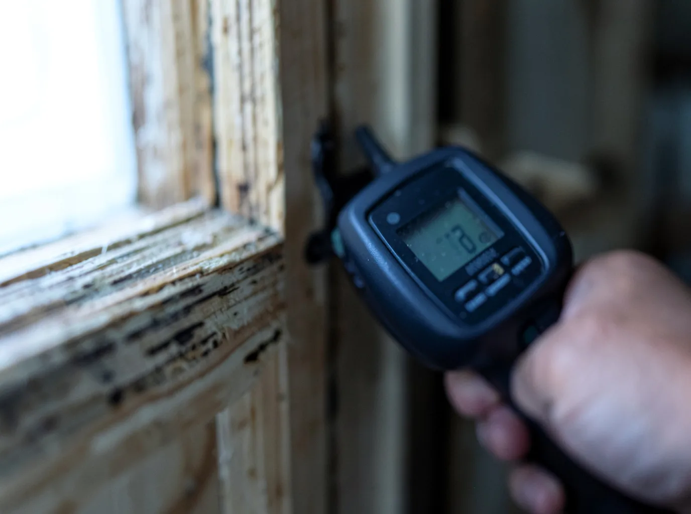 Moisture Inspection And Documentation in Grafton, NH